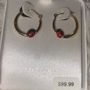 Ladybug earrings